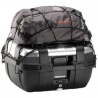 RED elástica givi negro